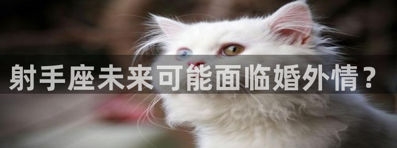 南宫NG5招商：射手座未来可能面临婚外情？