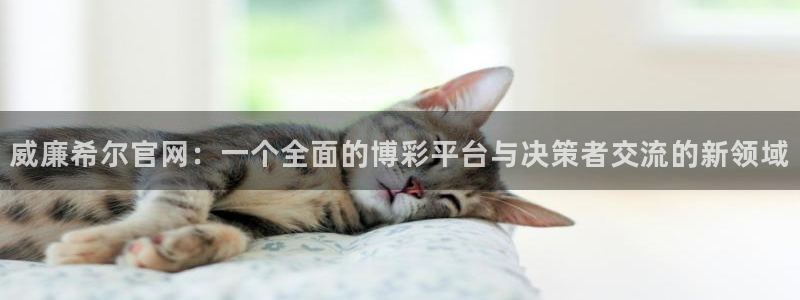 南宫NG体育凯捷平台代理：威廉希尔官网：一个全面的博彩平台与决策者交流的新领域