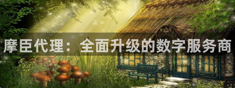 南宫NG加拿大app预测：摩臣代理：全面升级的数字服务商