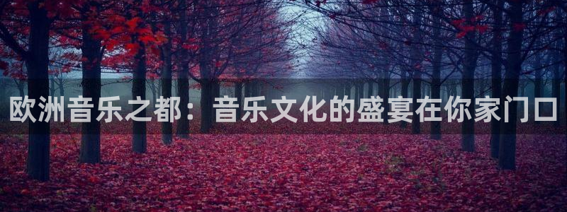 南宫NG体育凯捷登陆：欧洲音乐之都：音乐文化的盛宴在你家门口