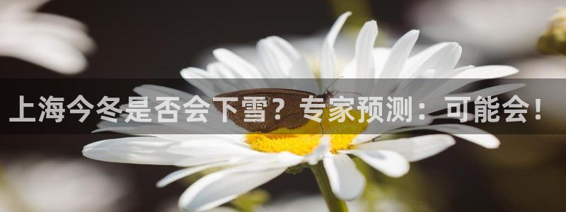 南宫NG体育游戏：上海今冬是否会下雪？专家预测：可能会！