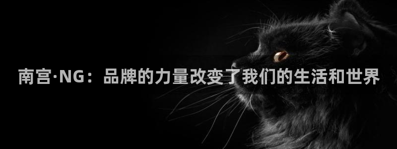 南宫NG平台官方入口下载：南宫·NG：品牌的力量改变了我们的生活和世界