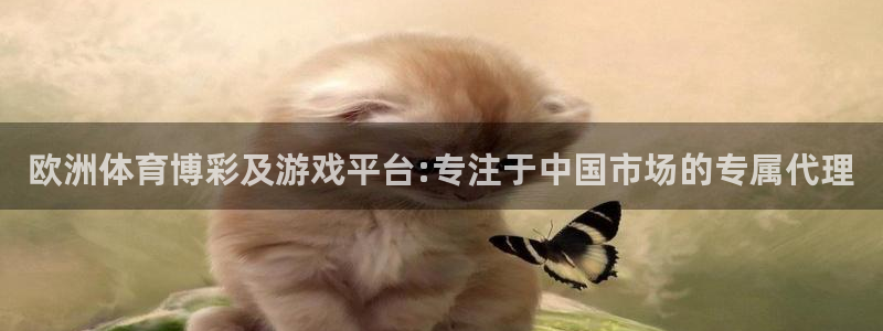 南宫NG体育凯捷平台注册：欧洲体育博彩及游戏平台:专注于中国市场的专属代理