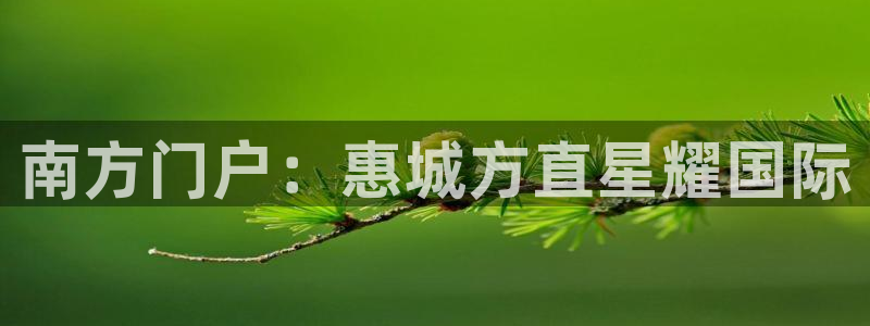 南宫NG注册网站app：南方门户：惠城方直星耀国际