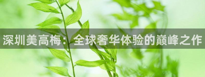 南宫NGapp最新版：深圳美高梅：全球奢华体验的巅峰之作