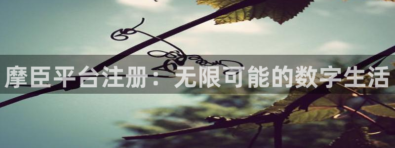 南宫NG登录界面入口：摩臣平台注册：无限可能的数字生活