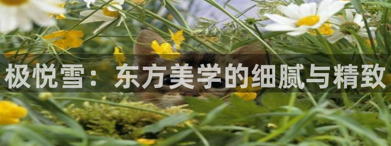 南宫NG电子游戏网页版：极悦雪：东方美学的细腻与精致