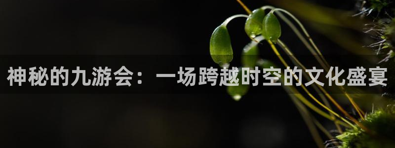 南宫NGccmpc：神秘的九游会：一场跨越时空的文化盛宴