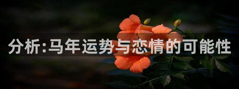 南宫NG体育和杏耀是哪个公司的：分析:马年运势与恋情的可能性