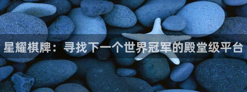 南宫NG下载链接是多少：星耀棋牌：寻找下一个世界冠军的殿堂级平台