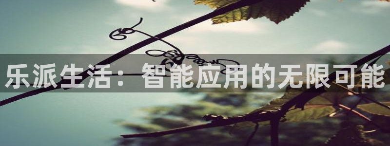 南宫NG3登陆：乐派生活：智能应用的无限可能
