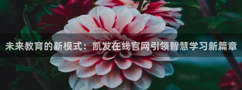南宫NG注册链接：未来教育的新模式：凯发在线官网引领智慧学习新篇章