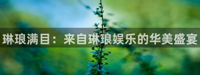 南宫NG有梦你就来：琳琅满目：来自琳琅娱乐的华美盛宴