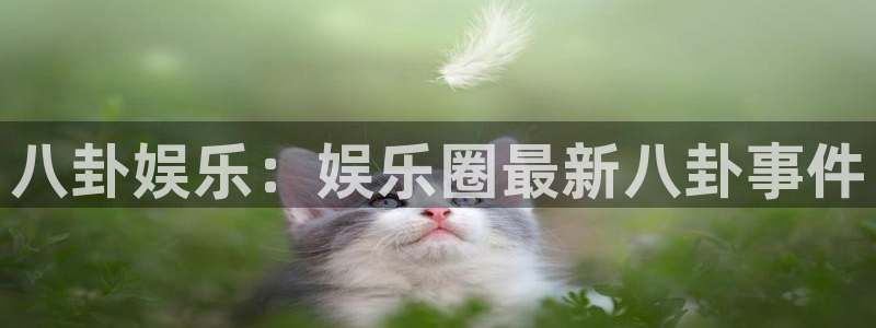 南宫NG平台注册：八卦娱乐：娱乐圈最新八卦事件