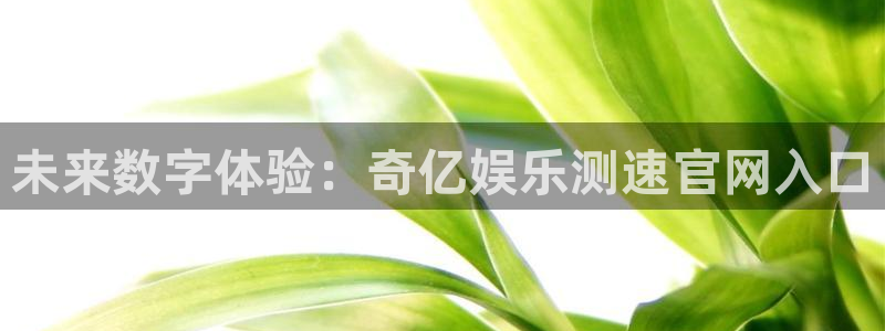 南宫NG体育f开号：未来数字体验：奇亿娱乐测速官网入口