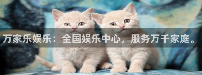 南宫NG体育凯捷平台主管：万家乐娱乐：全国娱乐中心，服务万千家庭。