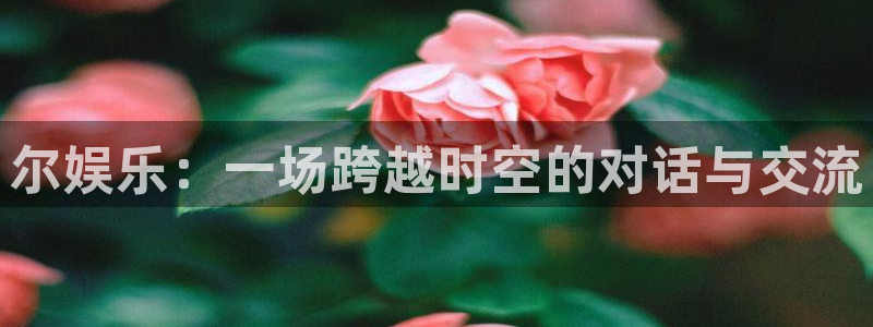 南宫NG体育代理申请流程：尔娱乐：一场跨越时空的对话与交流