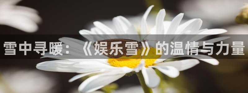 南宫NG下载入口：雪中寻暖：《娱乐雪》的温情与力量