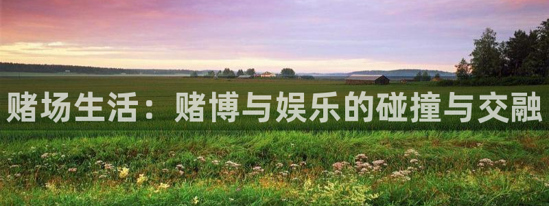 南宫NG体育：赌场生活：赌博与娱乐的碰撞与交融