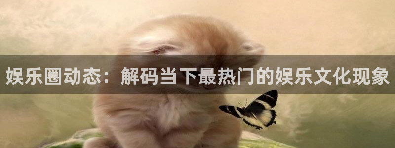 苹果版南宫NG下载安装：娱乐圈动态：解码当下最热门的娱乐文化现象