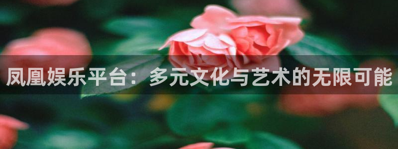 南宫NG体育官网注册：凤凰娱乐平台：多元文化与艺术的无限可能