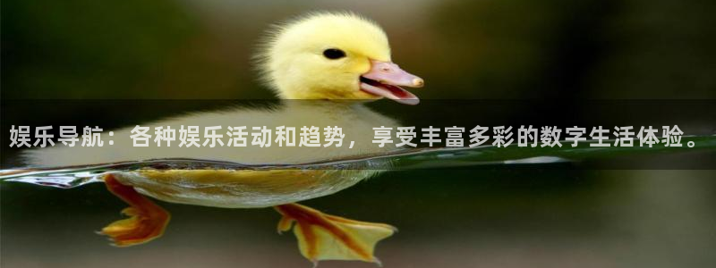 南宫NGccm麻将胡了：娱乐导航：各种娱乐活动和趋势，享受丰富多彩的数字生活体验