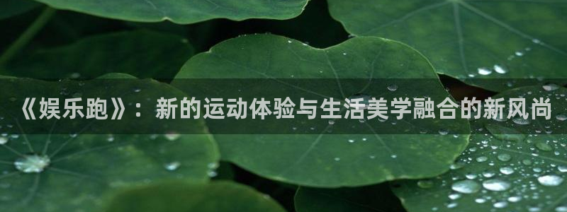 南宫NGapp 是什么：《娱乐跑》：新的运动体验与生活美学融合的新风尚