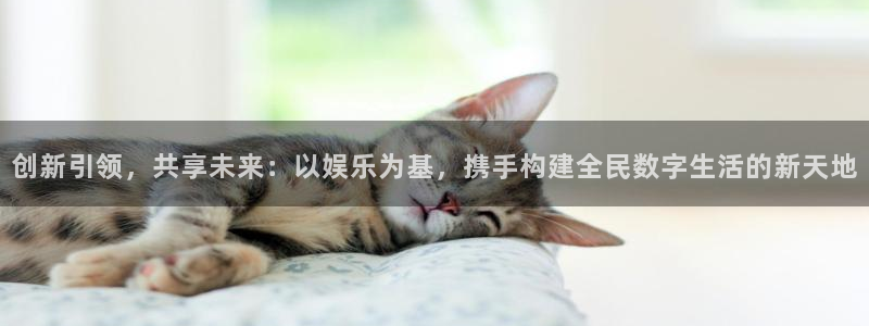 南宫NG在线下载：创新引领，共享未来：以娱乐为基，携手构建全民数字生活的新天地
